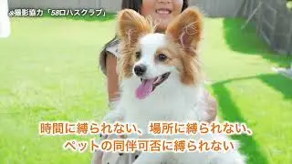 Pet-RV