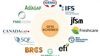 The Global Food Safety Initiative (GFSI)