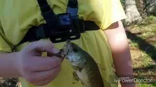 Spring fishing tournament