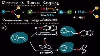 Organometallics Explained: The Suzuki Coupling Reaction & Mechanism