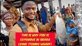 A tour around the biggest fishing wharf in Sierra Leone #sierraleone #fishing #food #tourism #africa