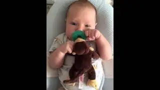 Соска Wubbanub/Maks Hollywood