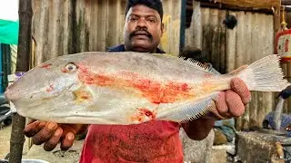 KASIMEDU SPEED SELVAM | HUGE LEATHER JACKET FISH CUTTING VIDEO | 4K VIDEO | KM FISH CUTTING 