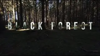 The Black Forest in FPV