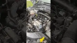 car ppl, chime in #ford #ecosport #fordperformance #viral #ytshorts #trending #rip #pos #smh #suv
