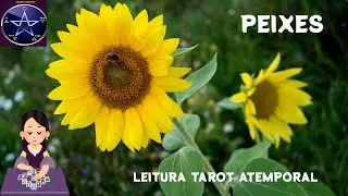 ♓PEIXES - UMA MANIFESTAÇÃO TANGÍVEL (MATERIAL) CHEGA NA SUA VIDA E VC VAI FICAR MUITO FELIZ