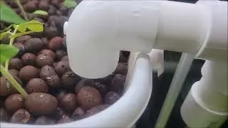 Aquarium Aquaponics Overflow System 1st Draft