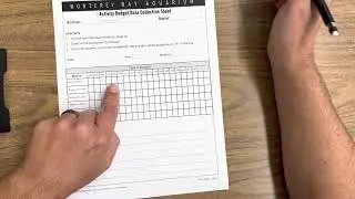 Sea Otter Activity Budget