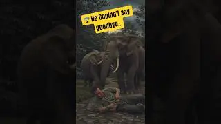 🐘💔 Elephant&rsquo;s Last Tear | Emotional Stories #shorts #story