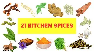 Kitchen Spices Name in English | Kitchen Vocabulary with Pictures #spices #spicenames #learnenglish