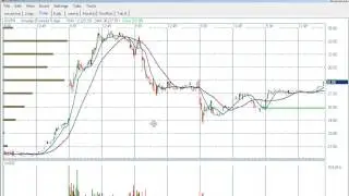 420 Investor - 5-minute Update