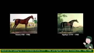 Modern Horse Racing & Herod Sire Line,  guide to horse pedigree when playing Winning Post etc.