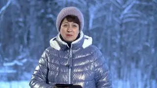2304. Хлеб на каждый день. Псалом 19:4