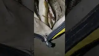 FABIANO E O XANDE PEGANDO AS BRUTAS