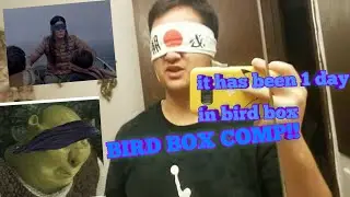 REACTION TO BIRD BOX COMPILATION!