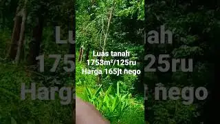 Tanah mangku jalan, Truk masuk luas 1753m2/125ru harga 165jt nego #property #kebun #jualtanah