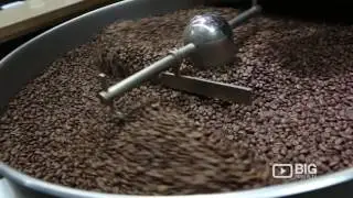 Industry Beans Cafe Coffee Shop in Fitzroy VIC serving Delicious Food and Dessert