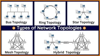 Network Topologies  #networking #topology #startopology #bustopology #meshtopology #ringtopology
