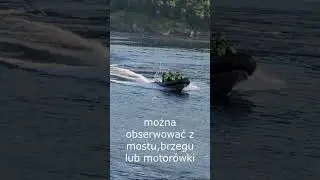 Saltstraumen - najsilniejsze wiry na świecie #automobile #kamperen #fiordy#norwegia