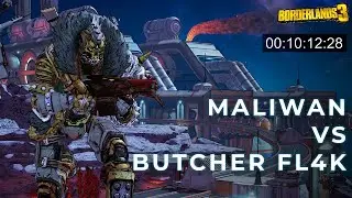Borderlands 3 | Crit Butcher Fl4k Maliwan Takedown 10:12 Run
