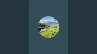 yaro is live!