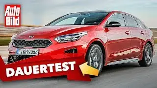 Kia ProCeed GT (2020): Dauertest - erster Eindruck - Info