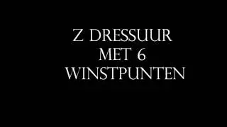 Friese droomhengst te koop- Hannes (Sake 449 x Jakob 302)