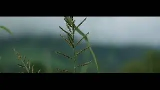 Canon 77D Cinematic Video test