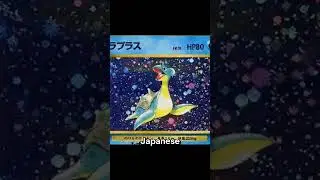 This man brought a vintage Pokemon card binder in a bin
