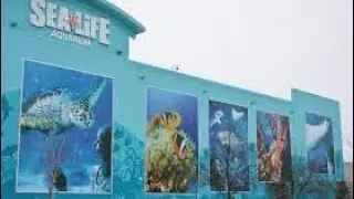 Part 2 of our spring break vacation! SEA LIFE AQUARIUM!