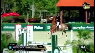 Fantasy HR Terra Brasilis by Arezzo X Bacarole VDL (Argentinus X Jus de Pomme)