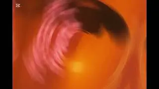 Patomant ft Axel Merryl, J'aime tes fesses, lyrics