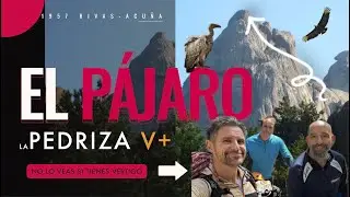 PEDRIZA CLASSIC: Heading to the summit of EL PÁJARO (DON'T WATCH IF YOU HAVE VERTIGO!) (4K)