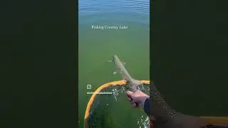 PREMIER Lake Fly Fishing awaits! #fishing #fun #travel #destination #lake #california #guide #tour