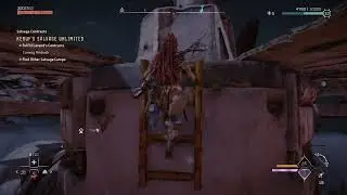 Horizon Forbidden West BUG