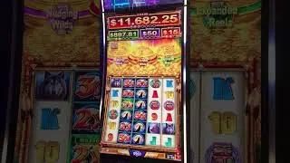 Amazing Triple Bonus Feature Big Win on Wolf Run Wild Moon!