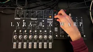LYRA-8 & WARP // Reverb Algorithm