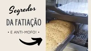 COMO FATIAR SEUS PÃES | Uso de anti-mofo na panificação industrial!