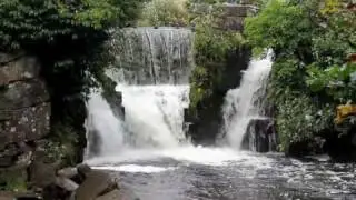 Swansea Ramblers Penllergare Falls