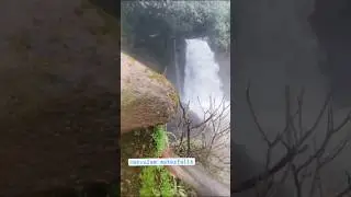 Harvalem Waterfall Goa #waterfall #shorts #mansoon #goa