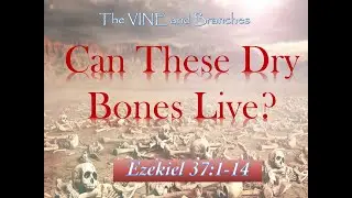 Can These Dry Bones Live...Again?_The VINE and Branches