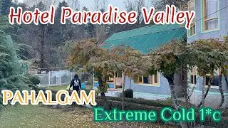  Best Hotel in Pahalgam Kashmir | Exploring Kashmir | Mini Switzerland 🇨🇭 | #travel #kashmir #vlog 
