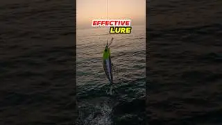 Effective Lure #fishing