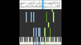 Strauss The Blue Danube Waltz