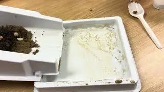 Weathering, Erosion, Deposition Lab option 1