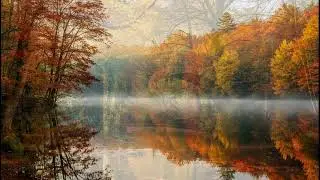 Serene Autumn Forest 🍁 Calm Music for Deep Focus, Meditation, and Stress Relief