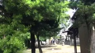 Japanese cops arrest kid at shrine