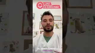 C&oacute;mo saber si mi perro tiene PARVOVIRUS #perros #veterinarioseguro #parvovirus