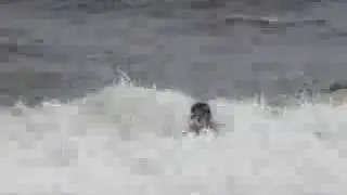 surf vb