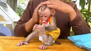 Mom applies perfume to her Little LIORA to freshen up before eating fried rice with the family